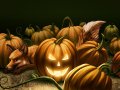 Pumpkin_Patch.jpg